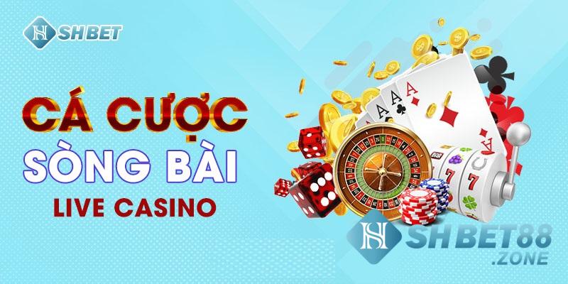 Vì sao nên chọn chơi live casino tại Shbet?