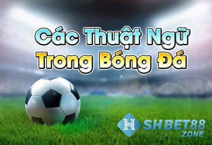 Các thuật ngữ cá độ bóng đá khác cược thủ cần biết 